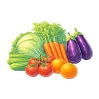 میوه و سبزی و صیفی 